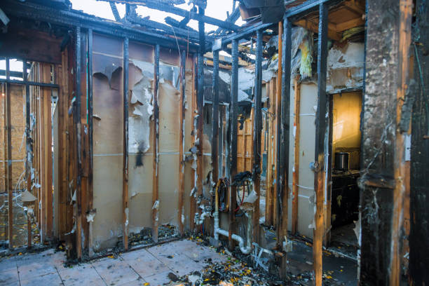Professional Fire Damage Assessment technician working in Surgoinsville, TN